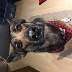 MoniqueGendron's avatar
